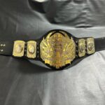 TNA World Heavyweight Championship Belt