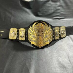 TNA World Heavyweight Championship Belt
