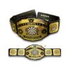 Custom Dart Championship Title Belt