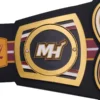Miami Heat WWE Legacy Title Belt