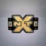 2012 NXT Championship Replica Title Belt