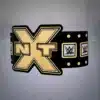 2012 NXT Championship Replica Title Belt