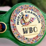 WBC Boxing Championship Title Belt