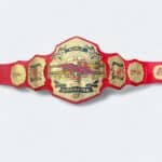 New TNA World Heavyweight Championship Replica Belt (2024)