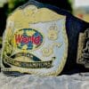 WWF Tag Team Championship Replica Title Belt
