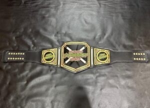 Custom Wrestling Championship Belt - Inspired By WWE - Image 2