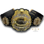 IWGP Heavyweight Championship Belt - Image 5