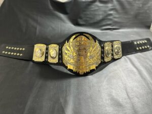 TNA World Heavyweight Championship Belt