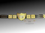 IWGP V5 World Heavyweight Championship Belt - Image 10