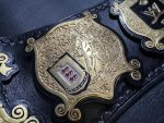 WWE Undisputed Championship V4 Title Belt - Image 16