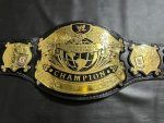 WWE Undisputed Championship V4 Title Belt - Image 14