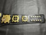 WWE Undisputed Championship V4 Title Belt - Image 13