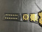 WWE Undisputed Championship V4 Title Belt - Image 10