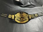 wwe undisputed championship v4 title belt
