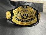 wwe undisputed championship v4 title belt