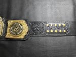 WWE World Heavyweight Championship Replica Title Belt (2023) - Image 11
