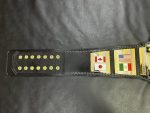 WWF Hogan 86 Dual Plated World Heavyweight Belt - Image 3