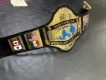 WWF Hogan 86 Dual Plated World Heavyweight Belt - Image 10
