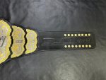 AEW World Championship Belt - Image 2