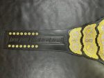 AEW World Championship Belt - Image 4