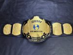 WWF Winged Eagles World Heavyweight Championship Belt - Image 5