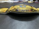 WWF Winged Eagles World Heavyweight Championship Belt - Image 10