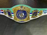 John Cena Farewell Tour 2025 Dallas Spinner Championship Replica Title Belt - Image 16