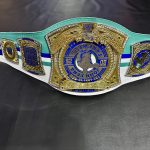 John Cena Farewell Tour 2025 Dallas Spinner Championship Replica Title Belt - Image 6