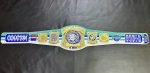 John Cena Farewell Tour 2025 Dallas Spinner Championship Replica Title Belt - Image 9