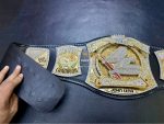 WWE Championship Spinner Replica Title Belt - Image 13