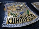 WWE Championship Spinner Replica Title Belt - Image 8