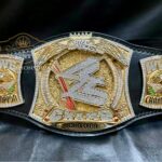 WWE Championship Spinner Replica Title Belt