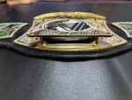 Custom Spinner Championship Belts - Image 6