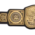 WWE Tag Team Championship Replica Title Belt - Image 6