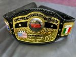 NWA Domed Globe Heavyweight Championship Belt - Image 4