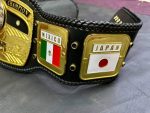 NWA Domed Globe Heavyweight Championship Belt - Image 5