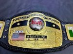 NWA Domed Globe Heavyweight Championship Belt - Image 11