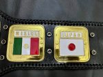 NWA Domed Globe Heavyweight Championship Belt - Image 13