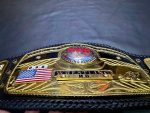 NWA Domed Globe Heavyweight Championship Belt - Image 12