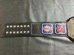 NWA Television Heavyweight Wrestling Championship belt - Image 8