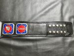 NWA Television Heavyweight Wrestling Championship belt - Image 10
