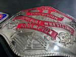 NWA Television Heavyweight Wrestling Championship belt - Image 12