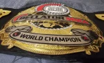 BELLATOR MMA World Champion Replica Title Belt - Image 2