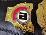 BELLATOR MMA World Champion Replica Title Belt - Image 5