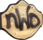 NWO Spray Paint WCW Championship Replica Title Belt - Image 4