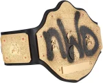 NWO Spray Paint WCW Championship Replica Title Belt - Image 3