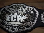 2008 ECW Championship Belt Replica Title Belt - Image 5