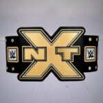 2012 NXT Championship Replica Title