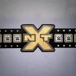 2012 NXT Championship Replica Title Belt - Image 3