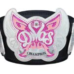 2014 WWE Divas Championship Replica Belt